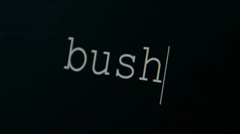 Typing word bush Stock Footage 45711344