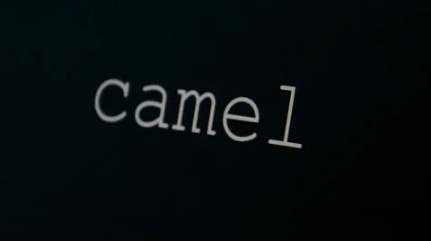 Typing word camel Stock Footage 45711489