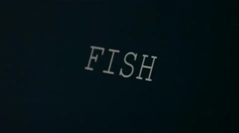 Typing word fish Stock Footage 45903102