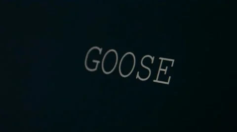 Typing word goose Stock Footage 45900467