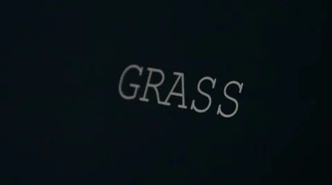 Typing word grass Stock Footage 45900640