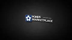 TYPO SHOW BUSINESS Stock After Effects