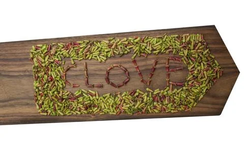 Typography cloves with arrows Stock Photos