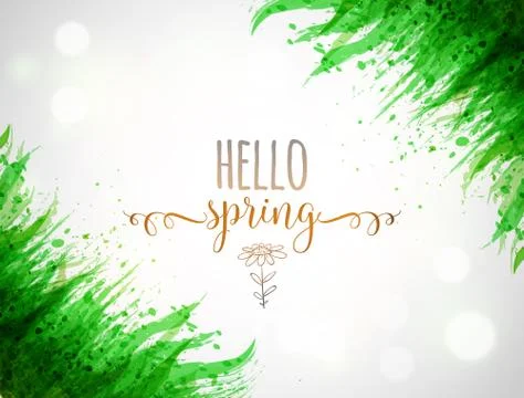 Typography composition with Hello spring words and green leaves of grass on w Illustrazione stock