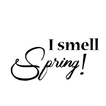 Typography for print or use as poster, flyer or T shirt Illustrazione stock