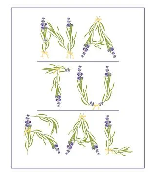 Typography slogan with lavender flower text Natural for t Stock Illustration