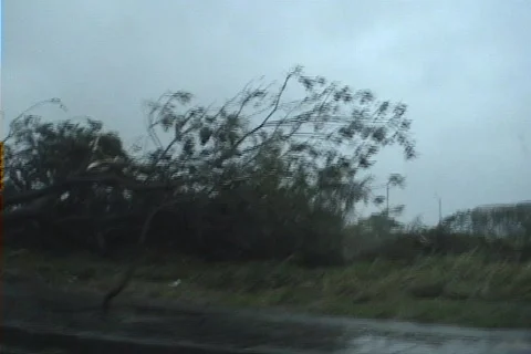 Typoon 스톡 동영상 297291