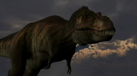 Tyrannosaurus rex dinosuar, loopable Stock Footage