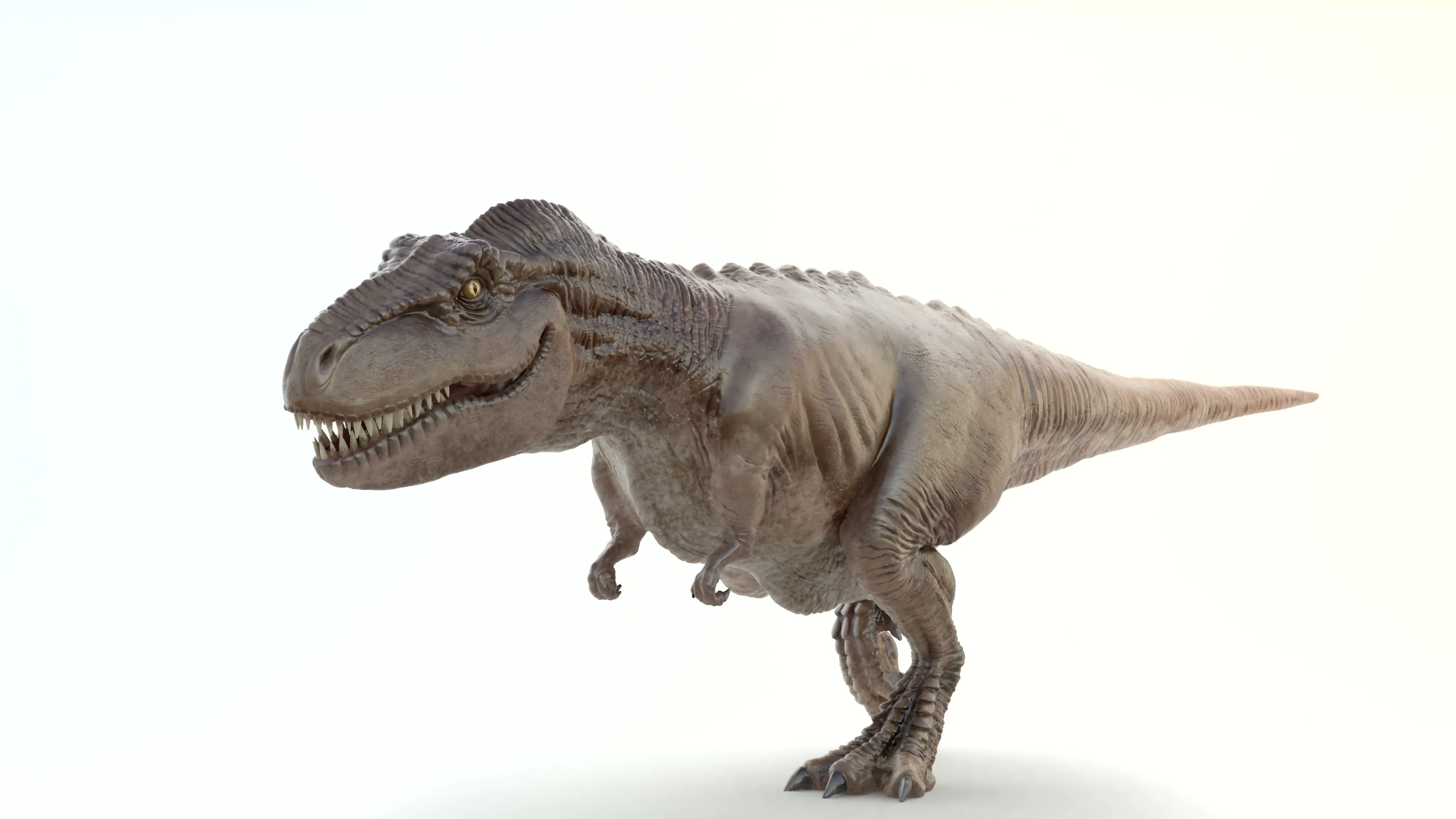 Tyrannosaurusrex Running In Studio 3d Render Stock Photo - Download Image  Now - Running, Tyrannosaurus Rex, Monster - Fictional Character - iStock