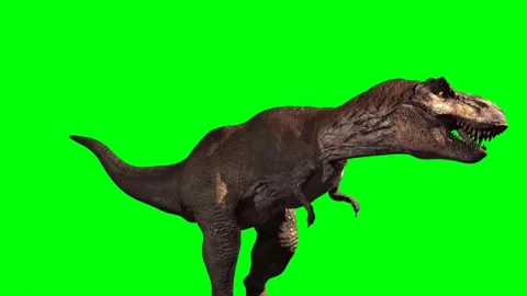 Tyrannosaurus rex Roaring on Green Scree… | Stock Video | Pond5