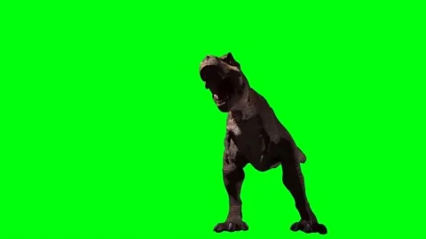 Tyrannosaurus rex Roaring on Green Scree… | Stock Video | Pond5