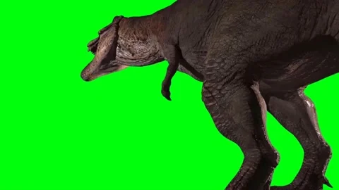 Tyrannosaurus rex Roaring on Green Scree… | Stock Video | Pond5