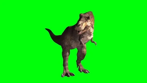 Tyrannosaurus rex Roaring on Green Scree... | Stock Video | Pond5