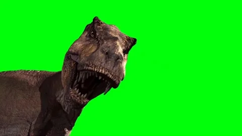 Tyrannosaurus rex Roaring on Green Scree… | Stock Video | Pond5