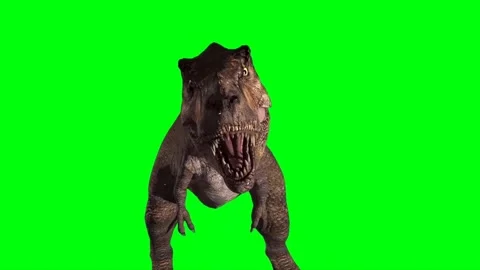 Tyrannosaurus rex Roaring on Green Scree… | Stock Video | Pond5