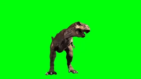 Green Screen T Rex Stock Video Footage 