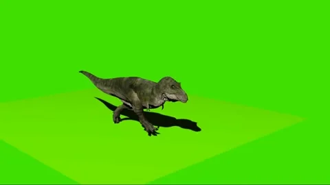 Animate Running Dinosaur Tyrannosaurus Rex Render Dark Background Stock  Video Footage by ©DenisSmile #199540226