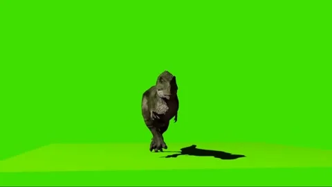 Animate Running Dinosaur Tyrannosaurus Rex Render Dark Background Stock  Video Footage by ©DenisSmile #199540226