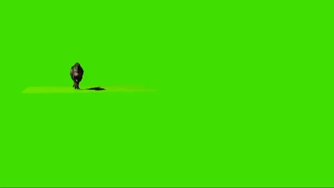 Animate Running Dinosaur Tyrannosaurus Rex Render Dark Background Stock  Video Footage by ©DenisSmile #199540226