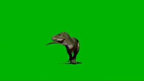 Animate Running Dinosaur Tyrannosaurus Rex Render Dark Background Stock  Video Footage by ©DenisSmile #199540226