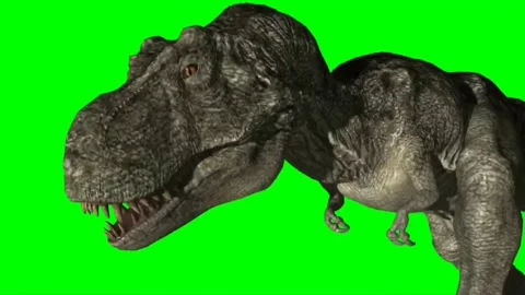 Animate Running Dinosaur Tyrannosaurus Rex Render Dark Background Stock  Video Footage by ©DenisSmile #199540226