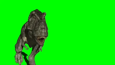 Animate Running Dinosaur Tyrannosaurus Rex Render Dark Background Stock  Video Footage by ©DenisSmile #199540226