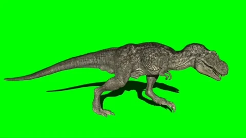 Animate Running Dinosaur Tyrannosaurus Rex Render Dark Background Stock  Video Footage by ©DenisSmile #199540226