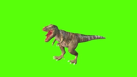 animate a running dinosaur Tyrannosaurus, Stock Video