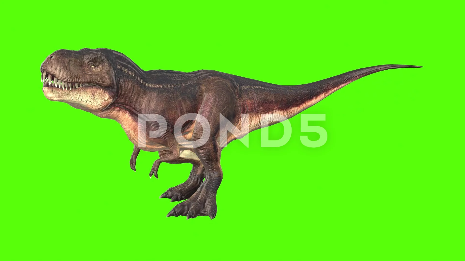 T-Rex dinosaur running. 3D illustration. - Stock Illustration