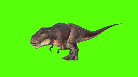 Tyrannosaurus T-Rex Bite Green Screen An... | Stock Video | Pond5