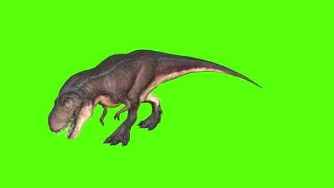 Tyrannosaurus T-rex Bite Green Screen An 