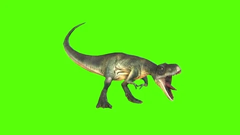 Tyrannosaurus T-Rex Death Green Screen A... | Stock Video | Pond5