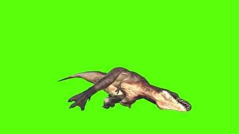 Tyrannosaurus T-Rex Death Green Screen A... | Stock Video | Pond5