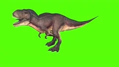 Angry T-Rex Runcycle Green Screen Close , Stock Video