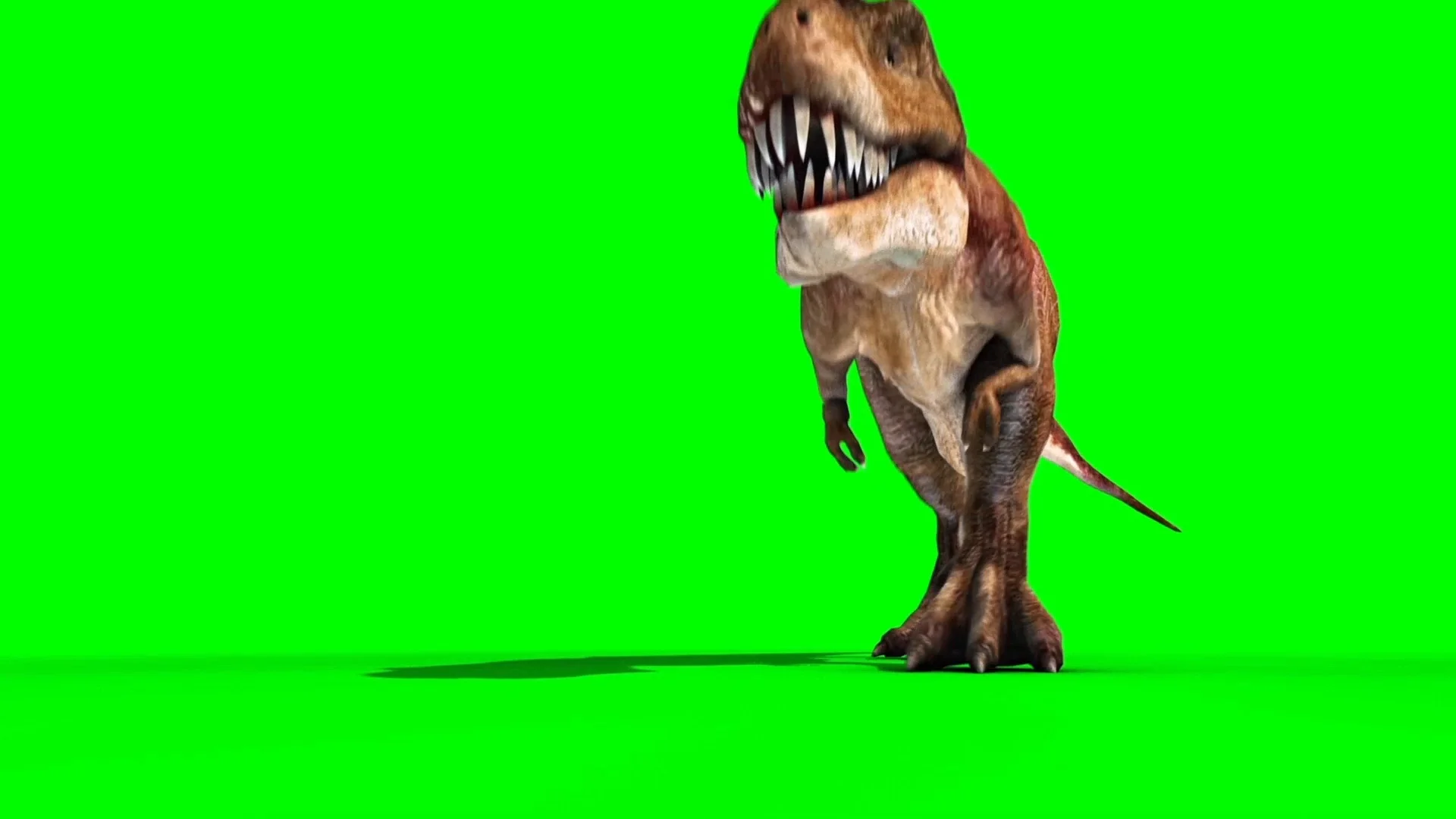 T-rex Running with Alpha Channel Tyranno, Stock Video