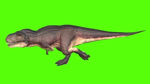 Tyrannosaurus T-Rex Running Green Screen... | Stock Video | Pond5