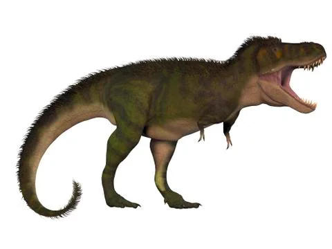 Tyranosaurus Rex, a large carnivore of the Cretaceous Period. Stock Illustration
