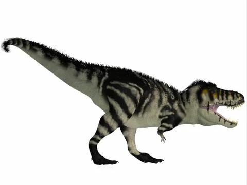 Tyranosaurus Rex, a large carnivore of the Cretaceous Period. Stock Illustration