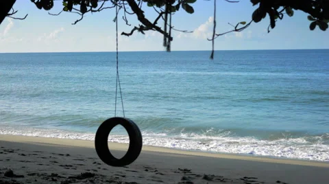 Tyre swing hanging with tree on the beach, Trinidad, Trinidad and Tobago Stock Footage 58200276
