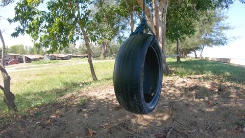 Tyre Swing Hanging With Tree On The Beach 動画素材 109407196