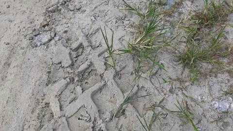 Tyre track  Stock Footage 330315857