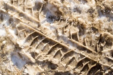 Tyre Track in the snow. Stock Photos