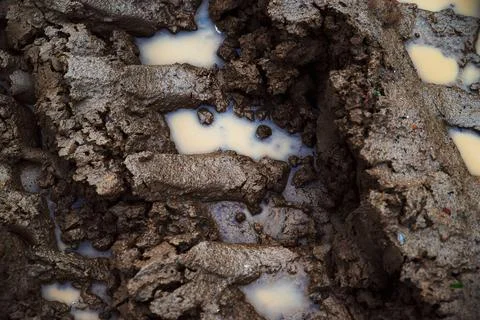 Tyre Tracks In The Mud. mud puddle and tire tracks on meadow road. Stock Photos