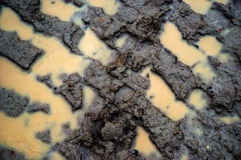 Tyre tracks in the mud. Mud with a puddle and traces of transport on an Stock Photos