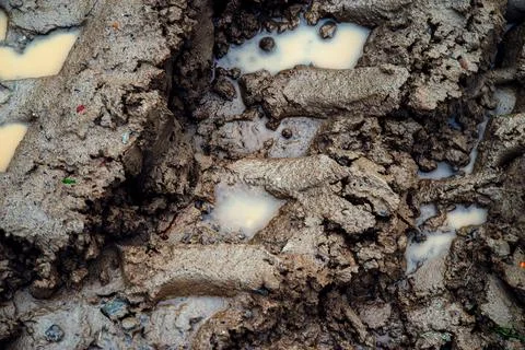 Tyre Tracks In The Mud. mud puddle and tire tracks on meadow road Stock Photos