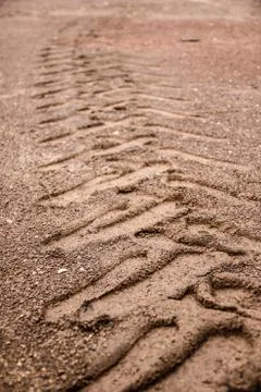 Tyre tracks in the sandstone background. Foto stock