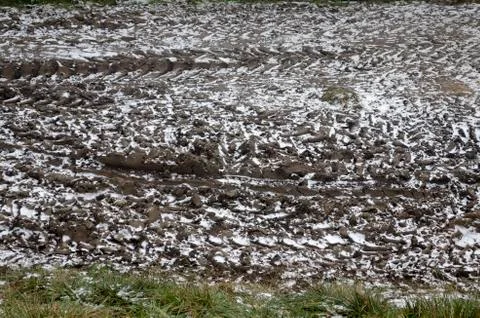 Tyre tracks. Tracks after a tractor on mud and snow Stock Photos