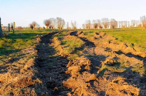 Tyre trails in a meadow Stock Photos
