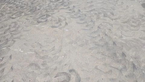 Tyre tread marks printed in a fine sand and gravel surface Stock Photos