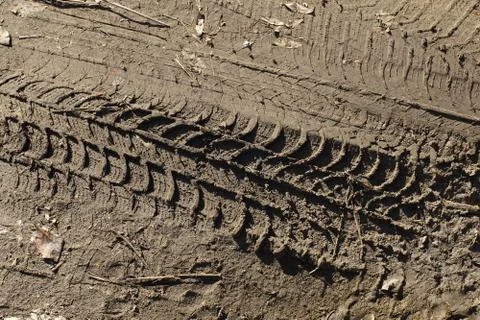 Tyre tread pattern in mud Stock Photos